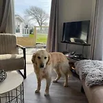 Neues Nr 47 Mit Meerblick 100 Meter Zum Wattenmeer, Eingezaeunt, Hundefreundlich *