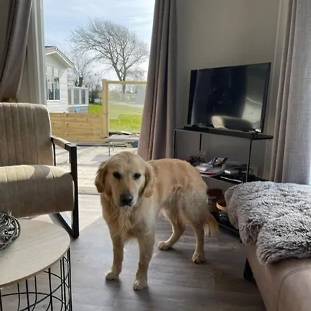 Neues Mit Meerblick Nr47100 Meter Zum Wattenmeer, Eingezäunt, Hundefreundlich *