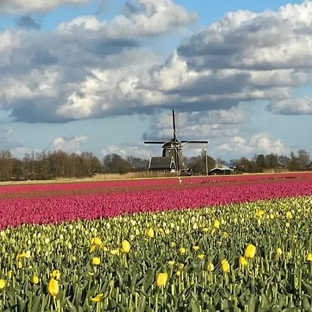Neues Nr 47 Mit Meerblick 100 Meter Zum Wattenmeer, Eingezaeunt, Hundefreundlich Дом отдыха *